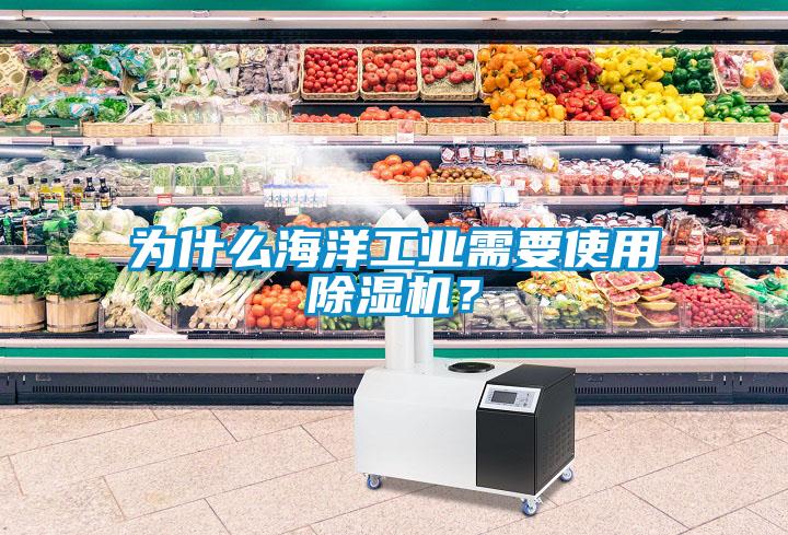 為什么海洋工業(yè)需要使用除濕機？