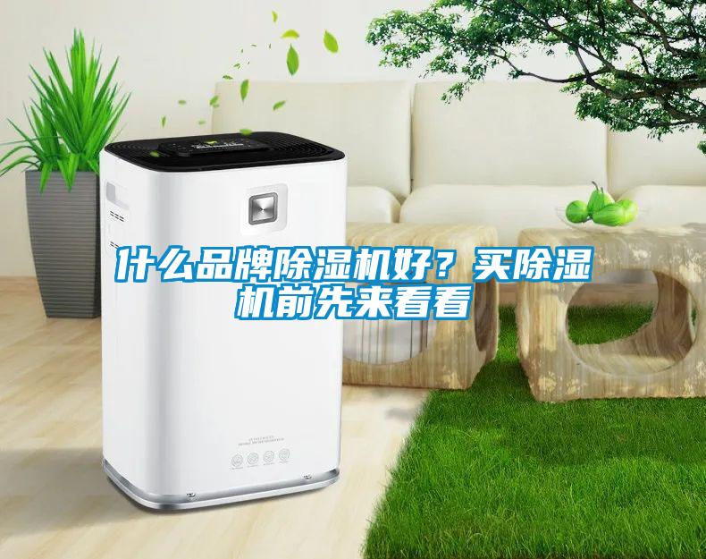 什么品牌除濕機(jī)好？買除濕機(jī)前先來看看