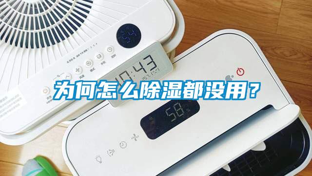 為何怎么除濕都沒用？