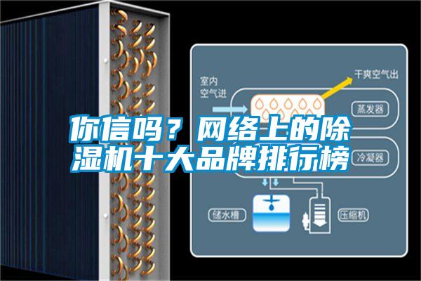 你信嗎？網(wǎng)絡上的除濕機十大品牌排行榜