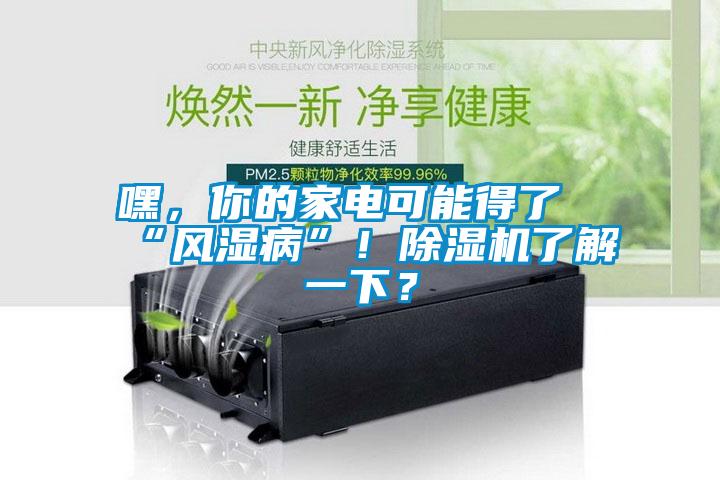 嘿，你的家電可能得了“風(fēng)濕病”！除濕機(jī)了解一下？