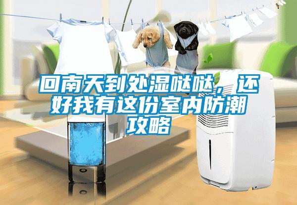 回南天到處濕噠噠，還好我有這份室內(nèi)防潮攻略