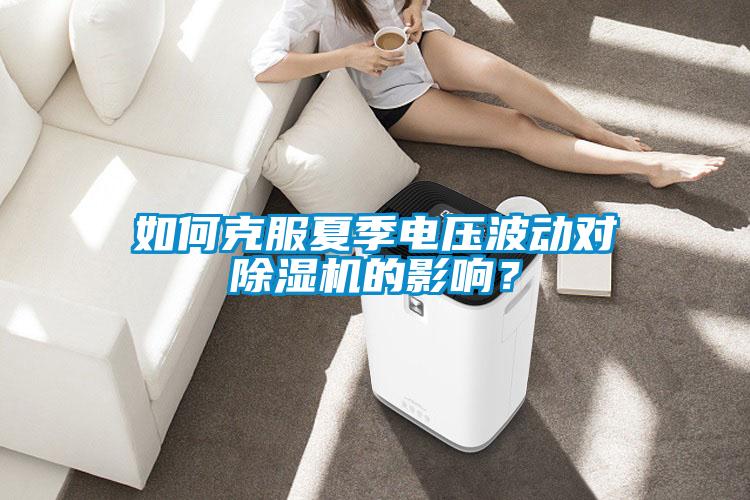 如何克服夏季電壓波動對除濕機的影響？