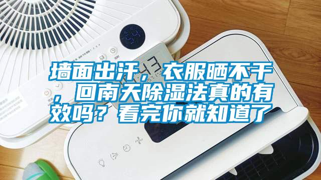 墻面出汗，衣服曬不干，回南天除濕法真的有效嗎？看完你就知道了