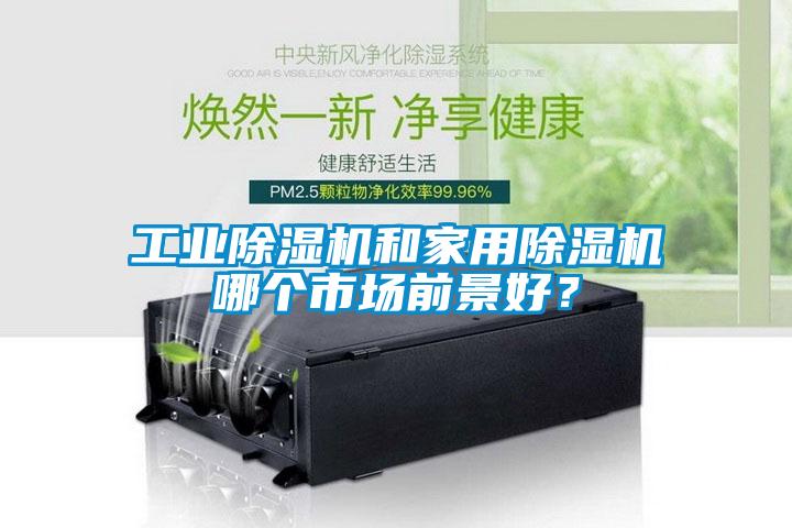 工業(yè)除濕機和家用除濕機哪個市場前景好？