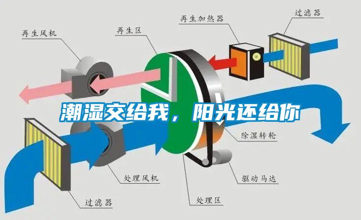 潮濕傷于無形，除濕機(jī)來防范