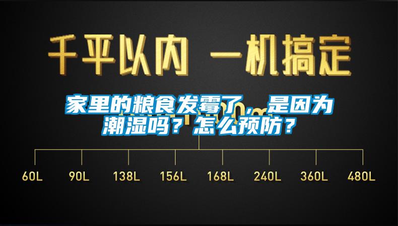 家里的糧食發(fā)霉了，是因?yàn)槌睗駟幔吭趺搭A(yù)防？