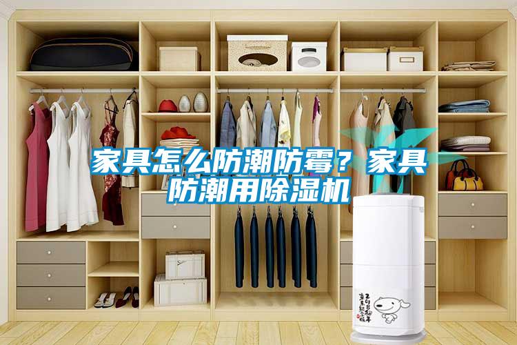 家具怎么防潮防霉？家具防潮用除濕機