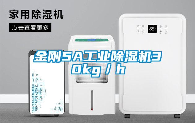 金剛5A工業(yè)除濕機30kg／h