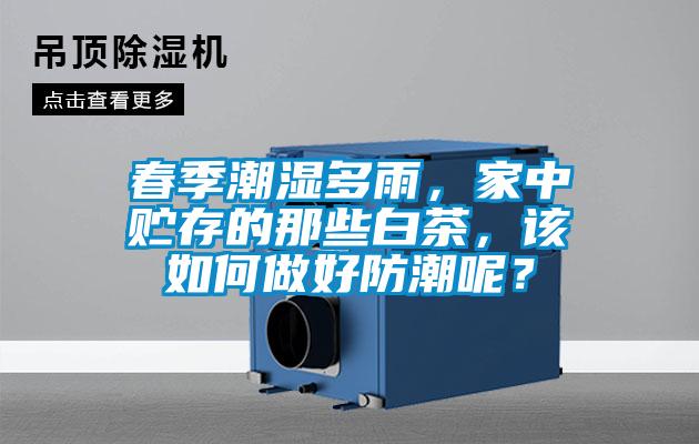 春季潮濕多雨，家中貯存的那些白茶，該如何做好防潮呢？