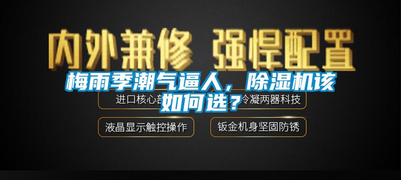 梅雨季潮氣逼人，除濕機(jī)該如何選？