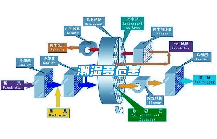 潮濕多危害