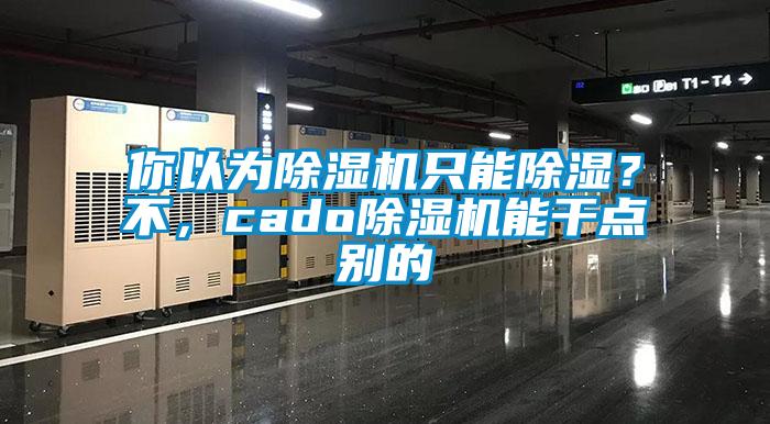 你以為除濕機只能除濕？不，cado除濕機能干點別的