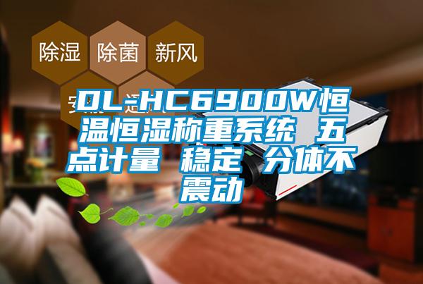 DL-HC6900W恒溫恒濕稱重系統(tǒng) 五點(diǎn)計(jì)量 穩(wěn)定 分體不震動(dòng)