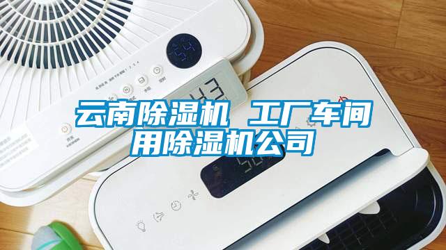 云南除濕機(jī) 工廠車間用除濕機(jī)公司