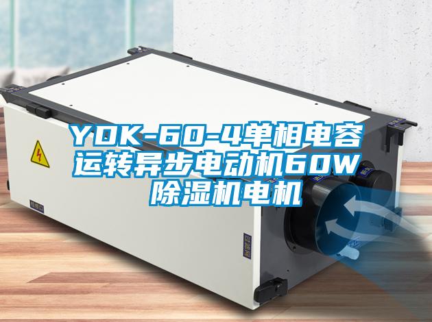 YDK-60-4單相電容運(yùn)轉(zhuǎn)異步電動機(jī)60W 除濕機(jī)電機(jī)