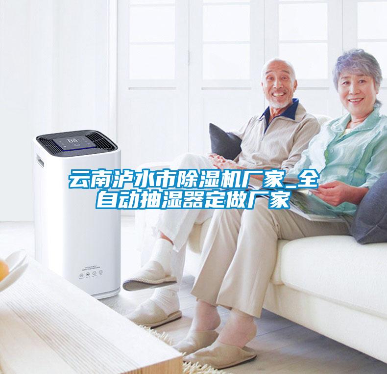 云南瀘水市除濕機(jī)廠家_全自動抽濕器定做廠家