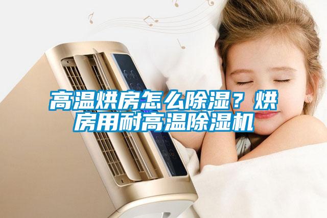 高溫烘房怎么除濕？烘房用耐高溫除濕機