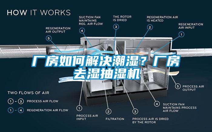 廠房如何解決潮濕？廠房去濕抽濕機