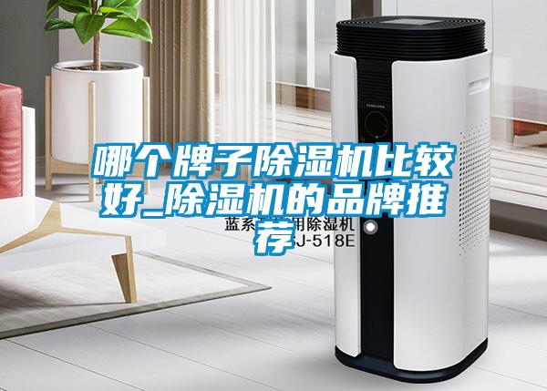 哪個牌子除濕機(jī)比較好_除濕機(jī)的品牌推薦