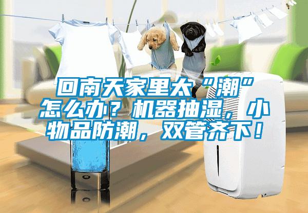 回南天家里太“潮”怎么辦？機器抽濕，小物品防潮，雙管齊下！