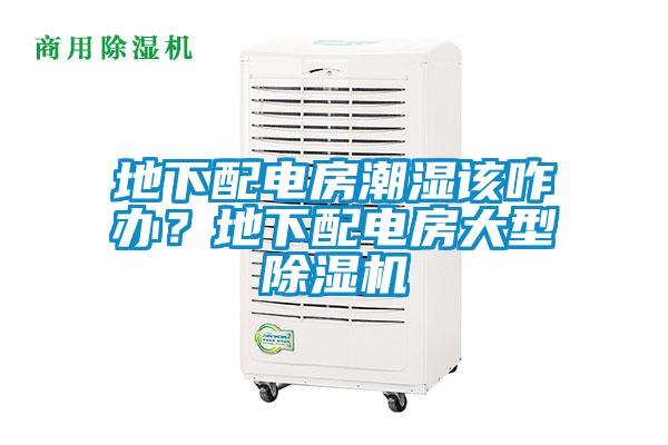 地下配電房潮濕該咋辦？地下配電房大型除濕機(jī)