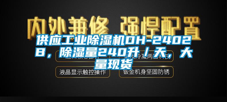 供應工業(yè)除濕機DH-2402B，除濕量240升／天，大量現(xiàn)貨