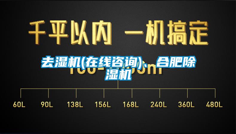 去濕機(在線咨詢)、合肥除濕機