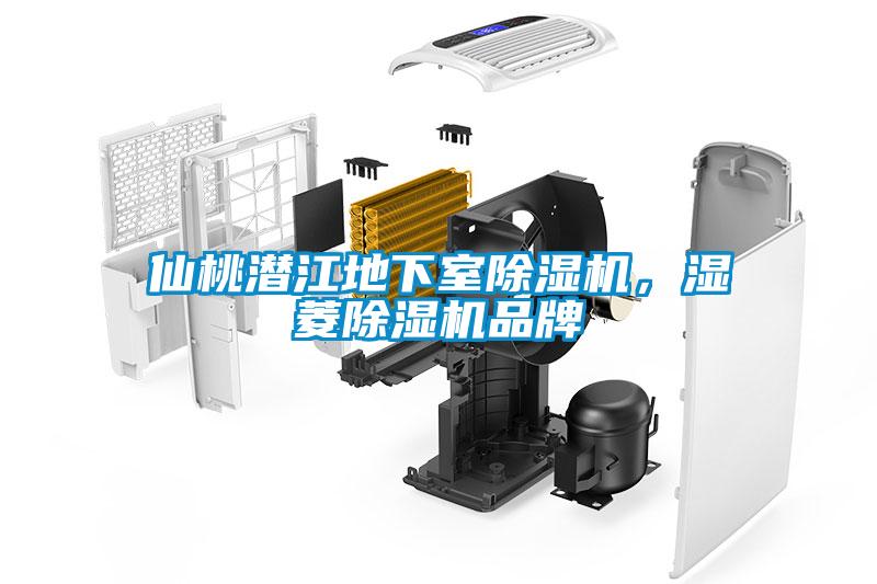 仙桃潛江地下室除濕機(jī)，濕菱除濕機(jī)品牌