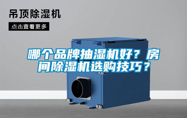 哪個品牌抽濕機(jī)好？房間除濕機(jī)選購技巧？