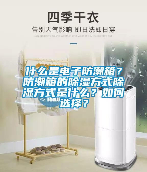 什么是電子防潮箱？防潮箱的除濕方式除濕方式是什么？如何選擇？