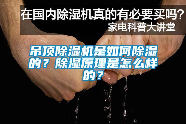 吊頂除濕機(jī)是如何除濕的？除濕原理是怎么樣的？