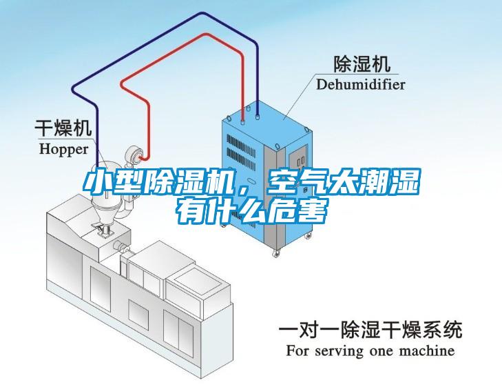 小型除濕機(jī)，空氣太潮濕有什么危害