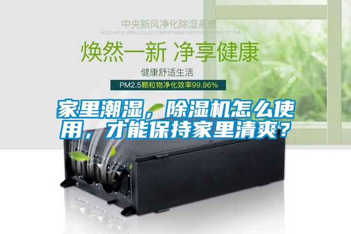 家里潮濕，除濕機怎么使用，才能保持家里清爽？