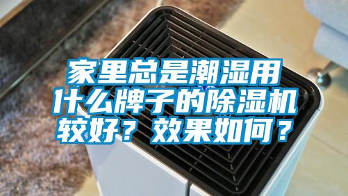 家里總是潮濕用什么牌子的除濕機較好？效果如何？