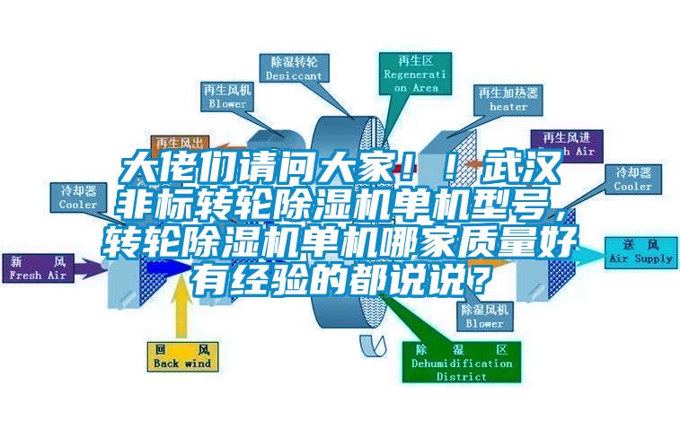 大佬們請問大家！！武漢非標(biāo)轉(zhuǎn)輪除濕機(jī)單機(jī)型號，轉(zhuǎn)輪除濕機(jī)單機(jī)哪家質(zhì)量好有經(jīng)驗(yàn)的都說說？