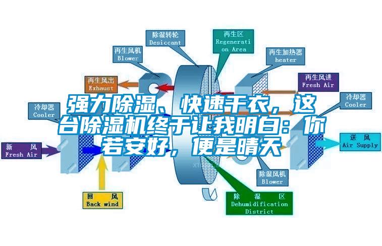 強(qiáng)力除濕、快速干衣，這臺除濕機(jī)終于讓我明白：你若安好，便是晴天