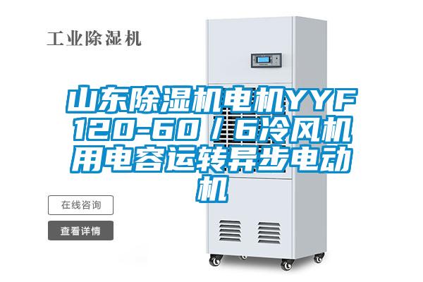 山東除濕機電機YYF120-60／6冷風機用電容運轉異步電動機