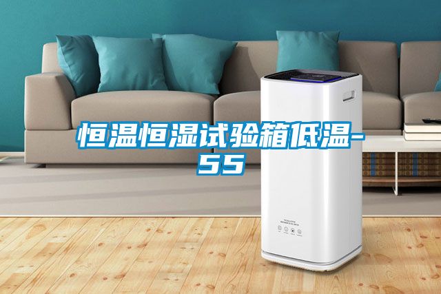 恒溫恒濕試驗(yàn)箱低溫-55℃