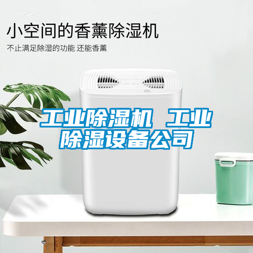 工業(yè)除濕機 工業(yè)除濕設備公司