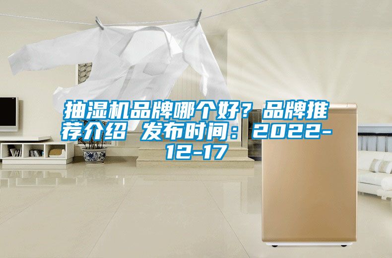 抽濕機品牌哪個好？品牌推薦介紹 發(fā)布時間：2022-12-17