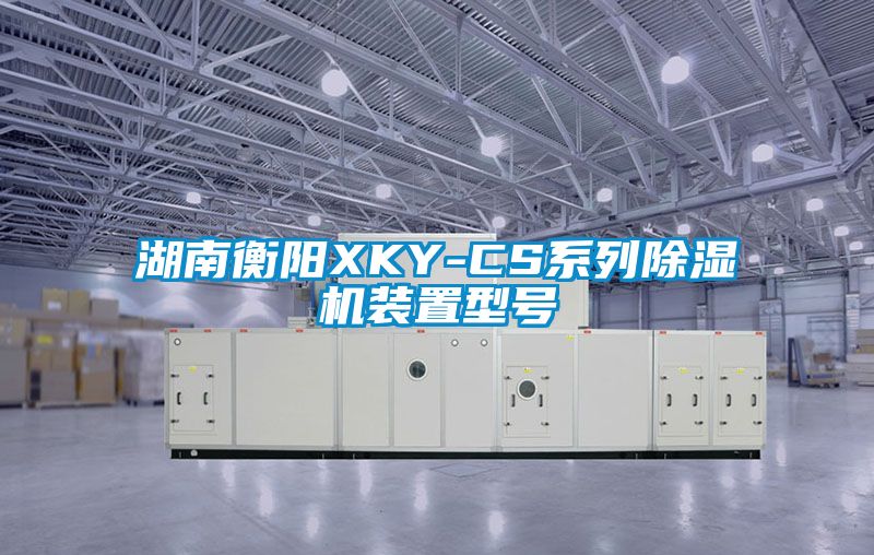 湖南衡陽(yáng)XKY-CS系列除濕機(jī)裝置型號(hào)