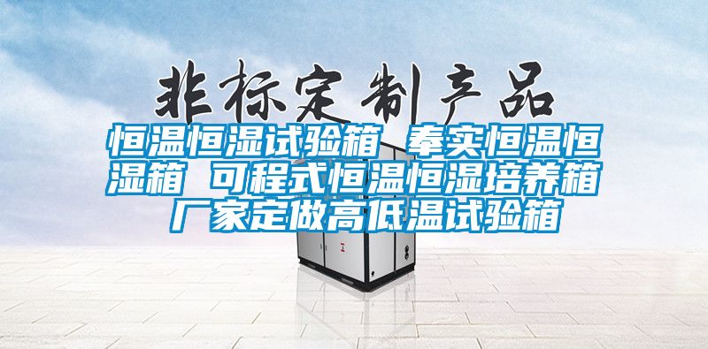 恒溫恒濕試驗箱 奉實恒溫恒濕箱 可程式恒溫恒濕培養(yǎng)箱 廠家定做高低溫試驗箱