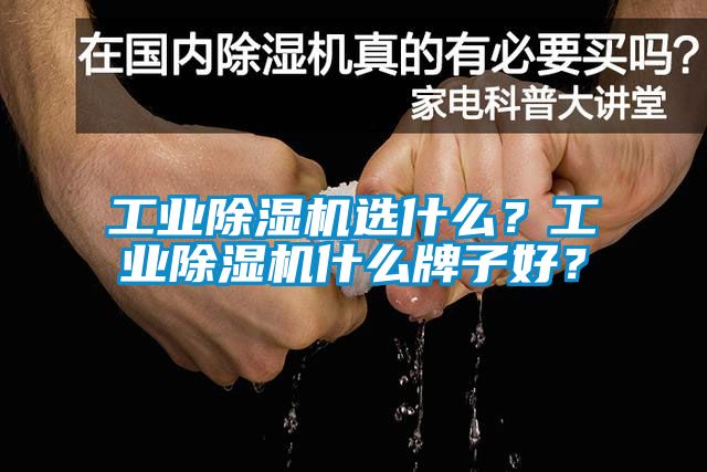 工業(yè)除濕機選什么？工業(yè)除濕機什么牌子好？