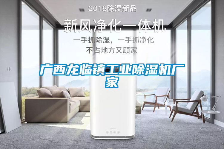 廣西龍臨鎮(zhèn)工業(yè)除濕機廠家