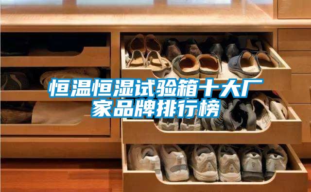 恒溫恒濕試驗箱十大廠家品牌排行榜