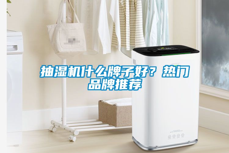 抽濕機(jī)什么牌子好？熱門(mén)品牌推薦