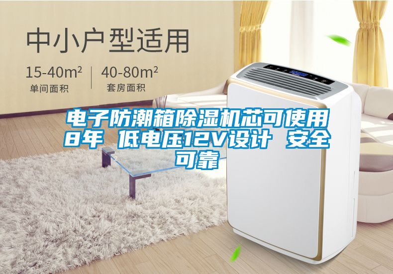 電子防潮箱除濕機(jī)芯可使用8年 低電壓12V設(shè)計(jì) 安全可靠