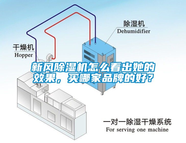 新風(fēng)除濕機怎么看出她的效果，買哪家品牌的好？