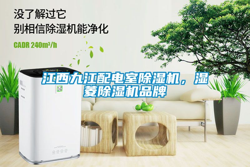 江西九江配電室除濕機(jī)，濕菱除濕機(jī)品牌